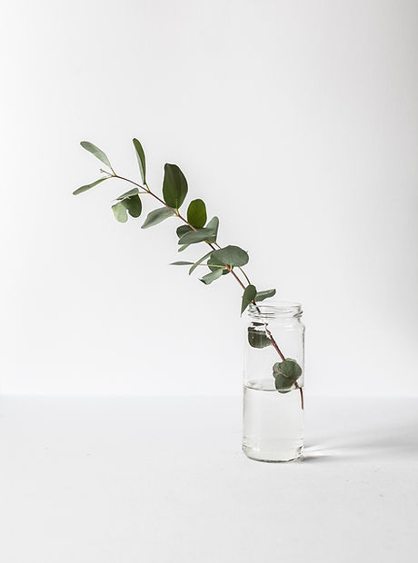 alex-loup-393847-unsplash copy.jpg